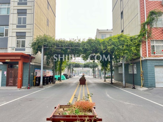 道路