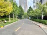 道路