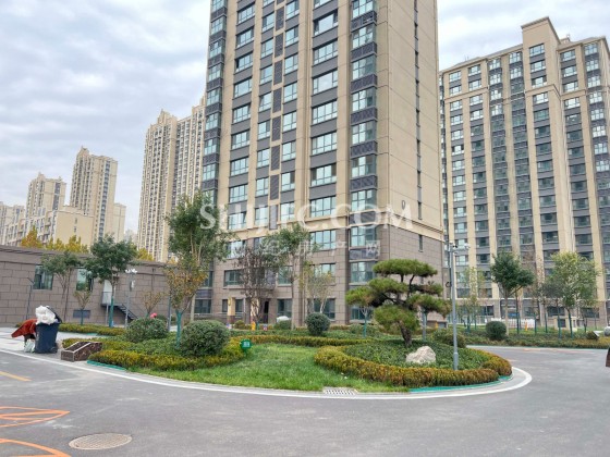 绿化
