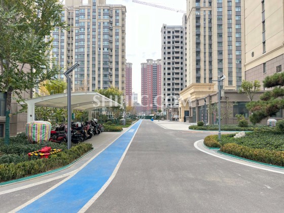 道路